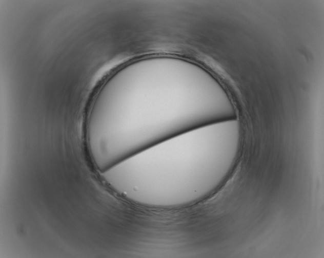 X0000113991222200910021003