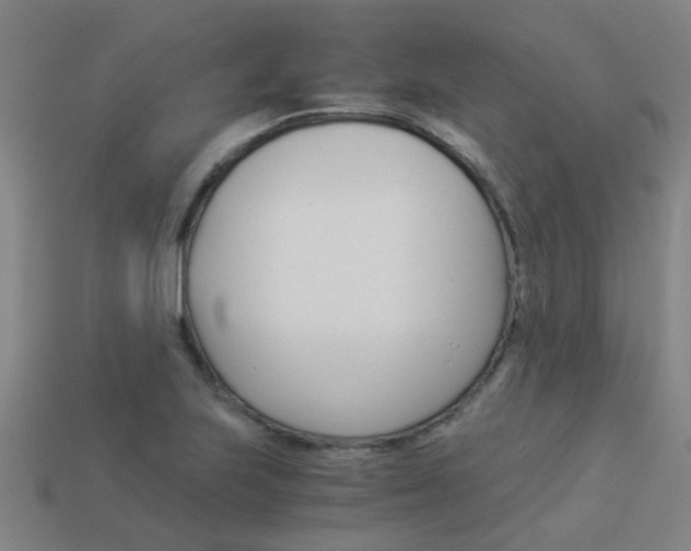 X0000113991223200910021003