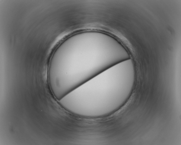 X0000113991224200910021003