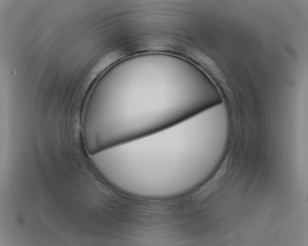 X0000113991226200910021003