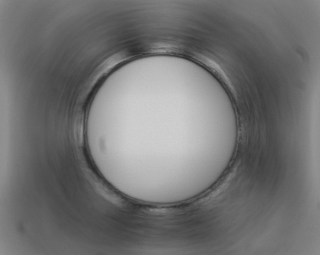 X0000113991227200910021003