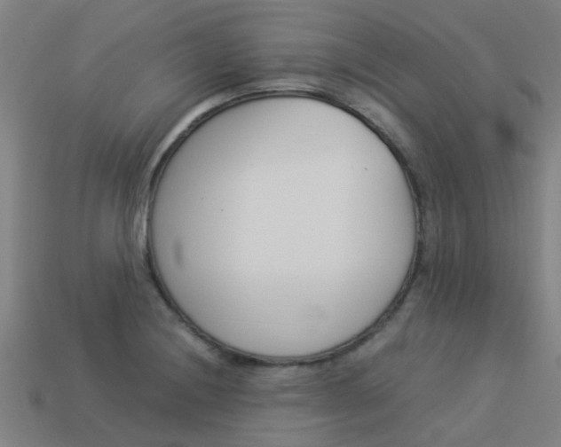 X0000113991228200910021003