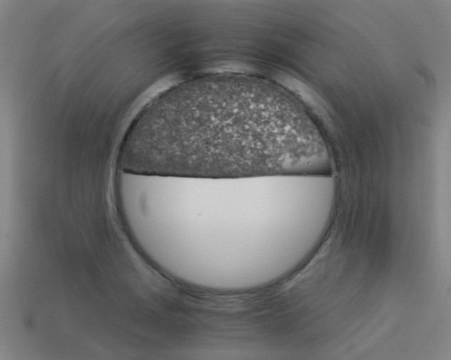 X0000113991229200910021003