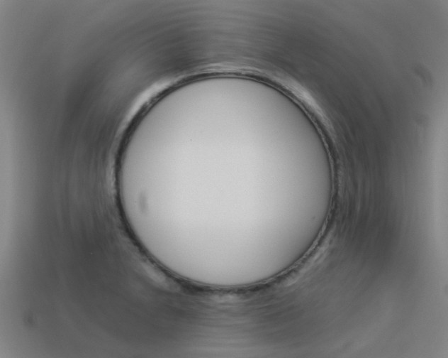 X0000113991230200910021003