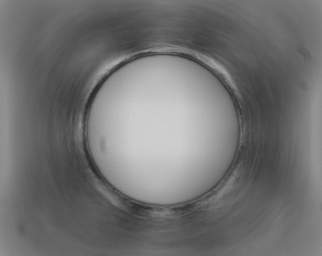 X0000113991231200910021003