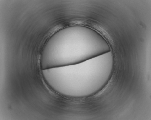 X0000113991233200910021003