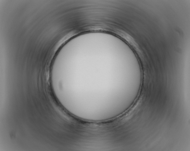 X0000113991234200910021003