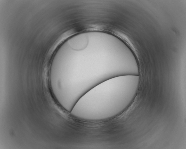 X0000113991235200910021003