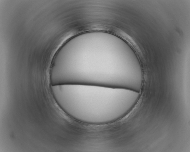 X0000113991236200910021003