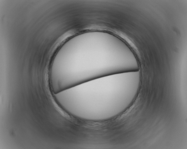 X0000113991237200910021003