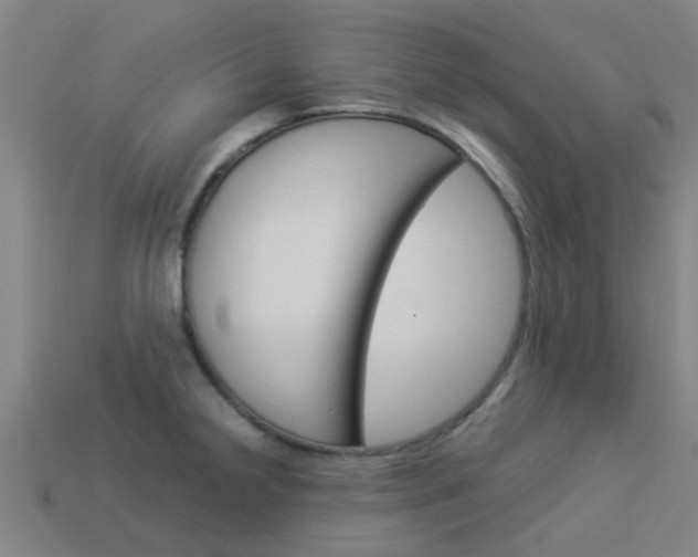 X0000113991238200910021003