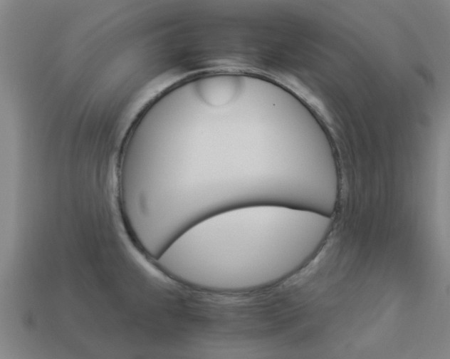 X0000113991239200910021003