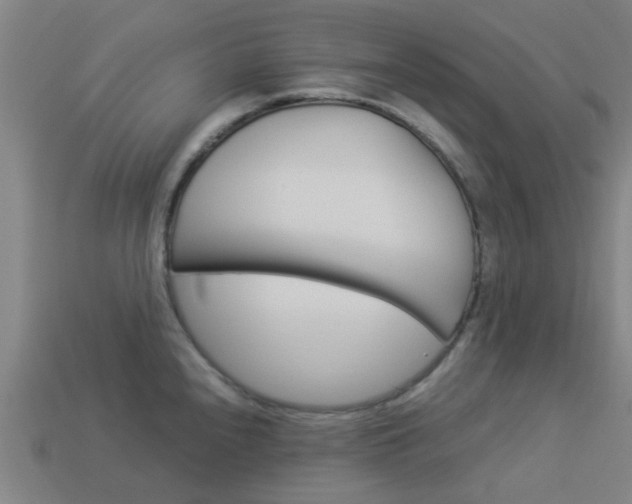 X0000113991240200910021003