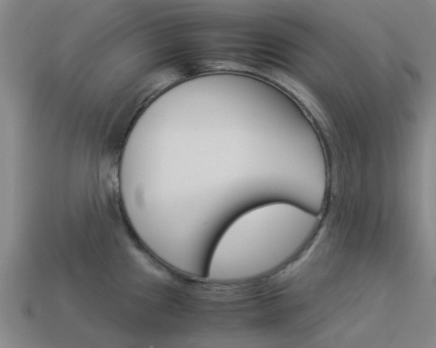 X0000113991241200910021003