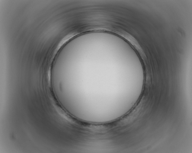 X0000113991242200910021003
