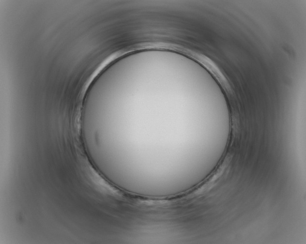 X0000113991244200910021003