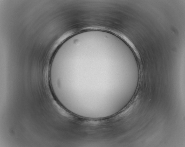 X0000113991245200910021003