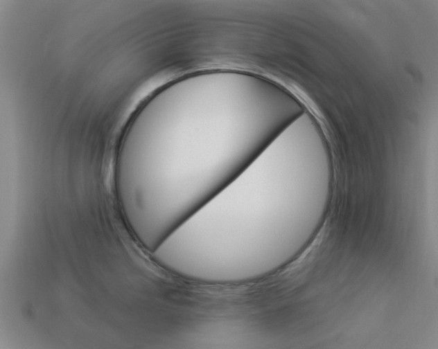 X0000113991246200910021003