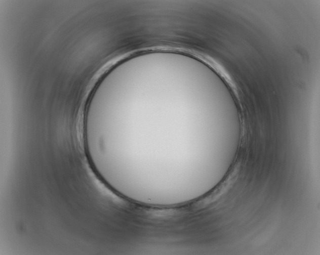 X0000113991247200910021003