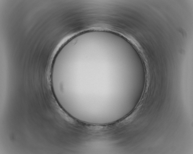 X0000113991248200910021003