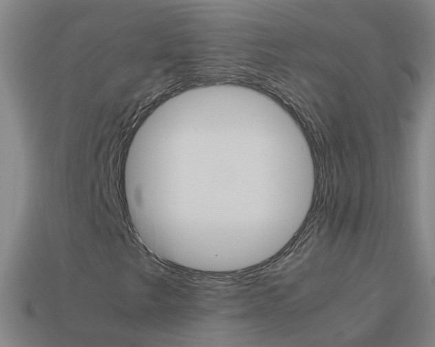 X0000113991249200910021003