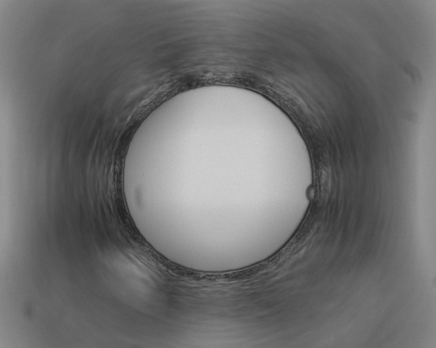 X0000113991250200910021003