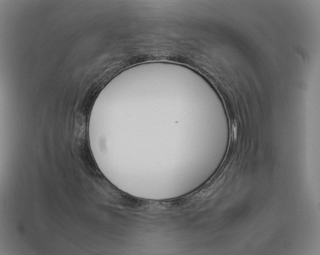 X0000113991251200910021003