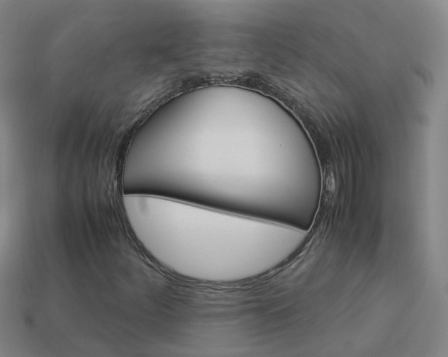 X0000113991252200910021003