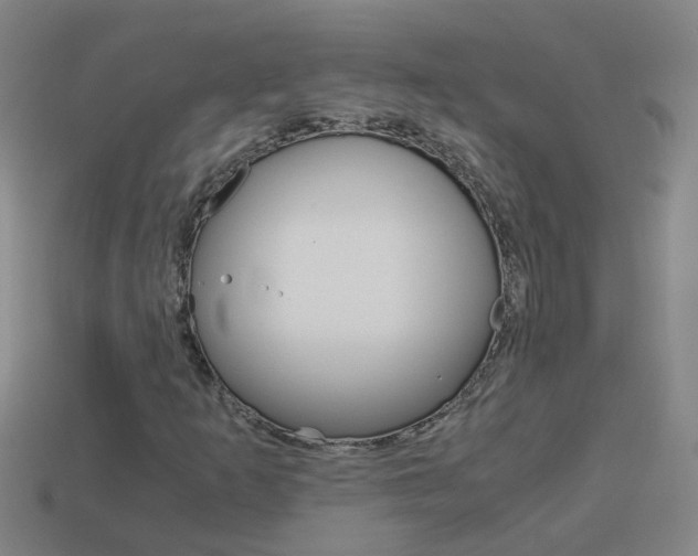X0000113991253200910021003