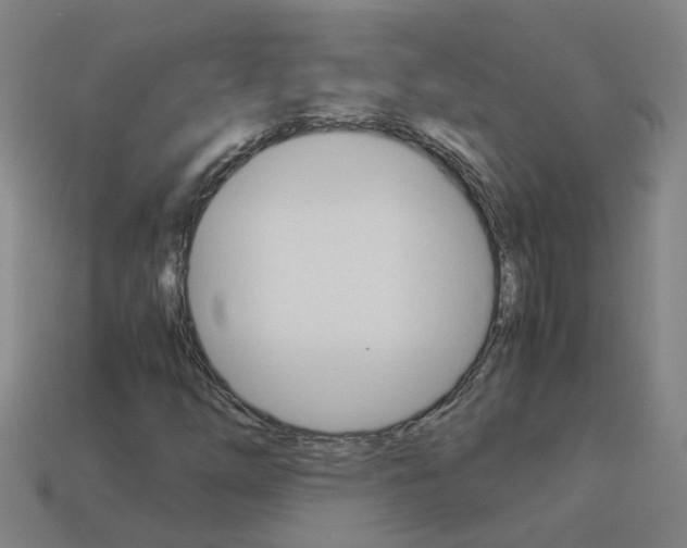 X0000113991254200910021003