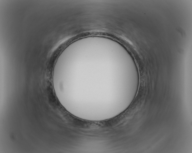 X0000113991255200910021003