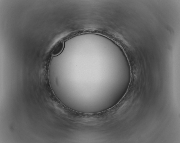 X0000113991256200910021003