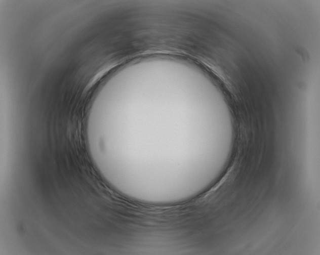 X0000113991258200910021003