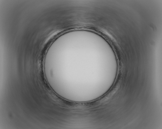X0000113991259200910021003