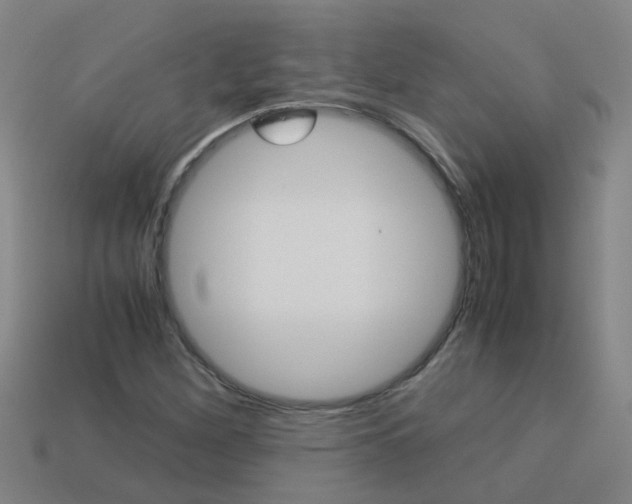 X0000113991260200910021002