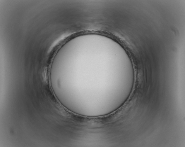 X0000113991262200910021002