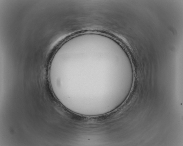 X0000113991263200910021002
