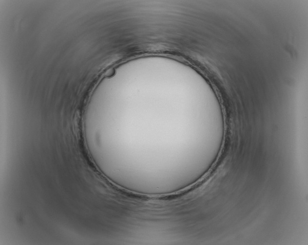 X0000113991265200910021002