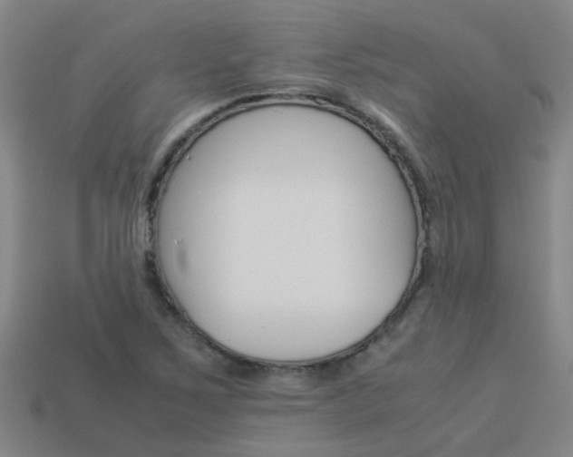 X0000113991267200910021002