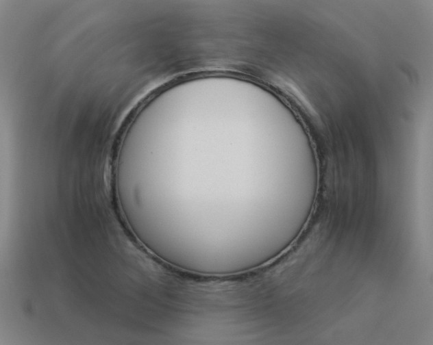 X0000113991268200910021002