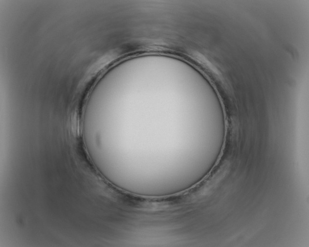 X0000113991269200910021002