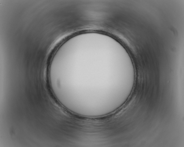 X0000113991270200910021002