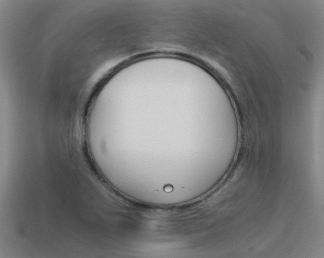 X0000113991271200910021002