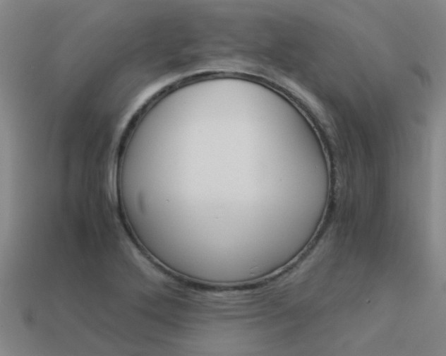 X0000113991272200910021002