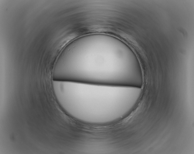 X0000113991273200910021002