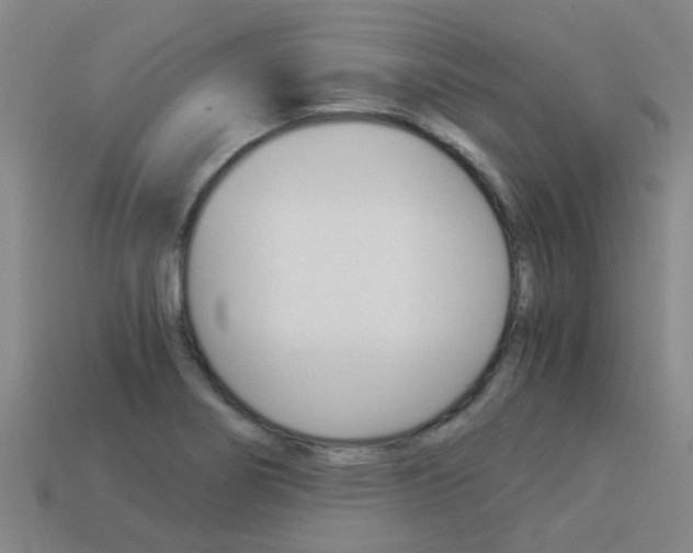 X0000113991274200910021002