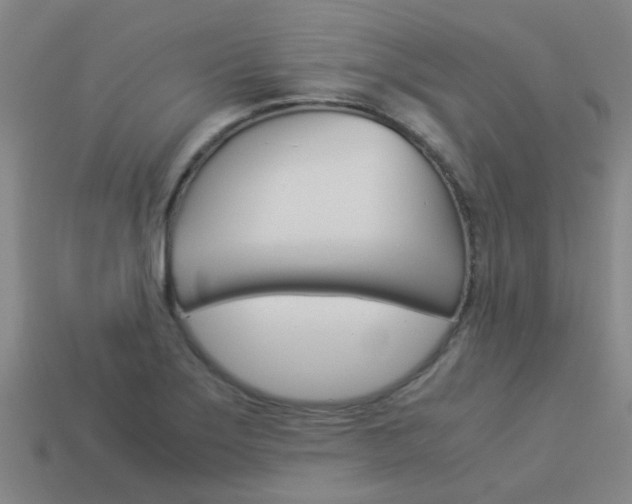 X0000113991275200910021002
