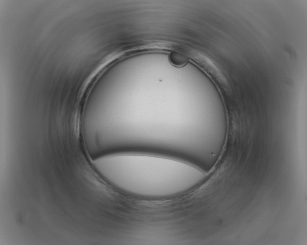 X0000113991276200910021002