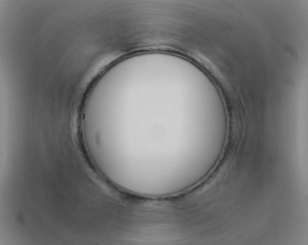 X0000113991277200910021002