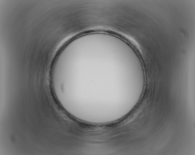 X0000113991279200910021002